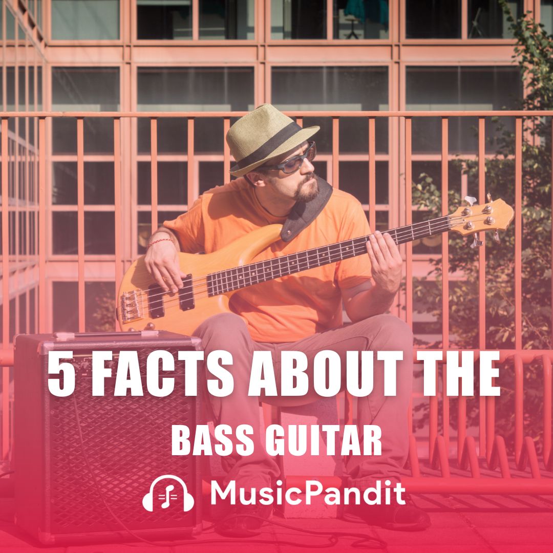 5 Facts About the Bass Guitar