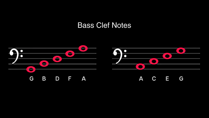 Children's Educational Guide: Learn How to Read Music Notes